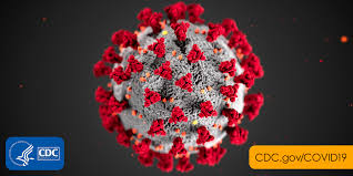 Electron microscope image of the COVID-19 virus from the CDC.